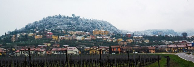 Cavaion 2017
