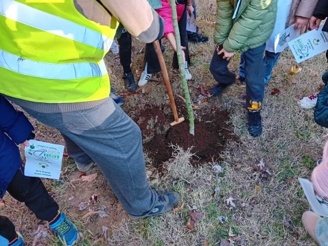 PIANTATI DAI MAESTRI 35 ALBERI