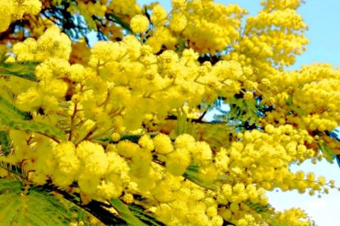 8 MARZO 2026: RIFLESSIONI DELLE MAESTRE